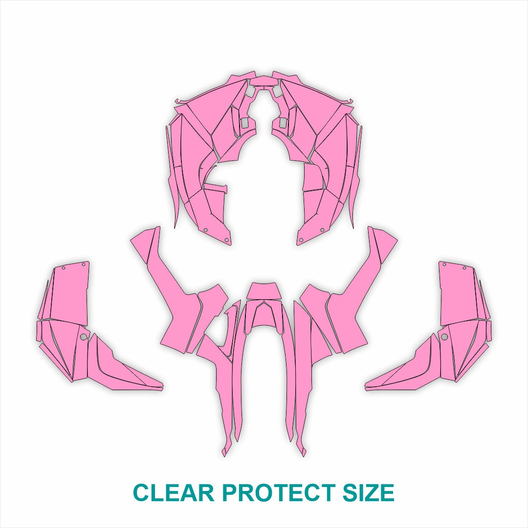 Can Am Renegade PPF kit clear paint protection