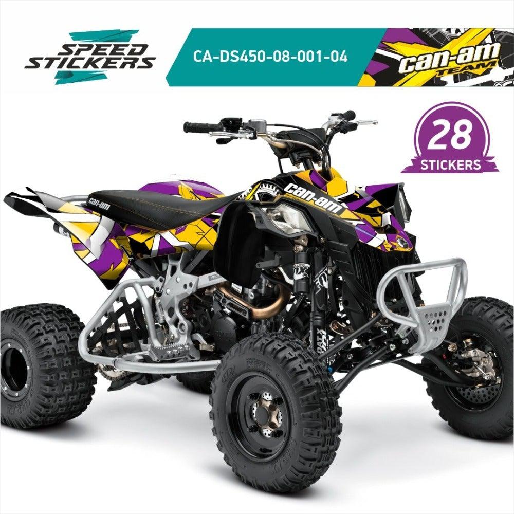 DS450 graphics